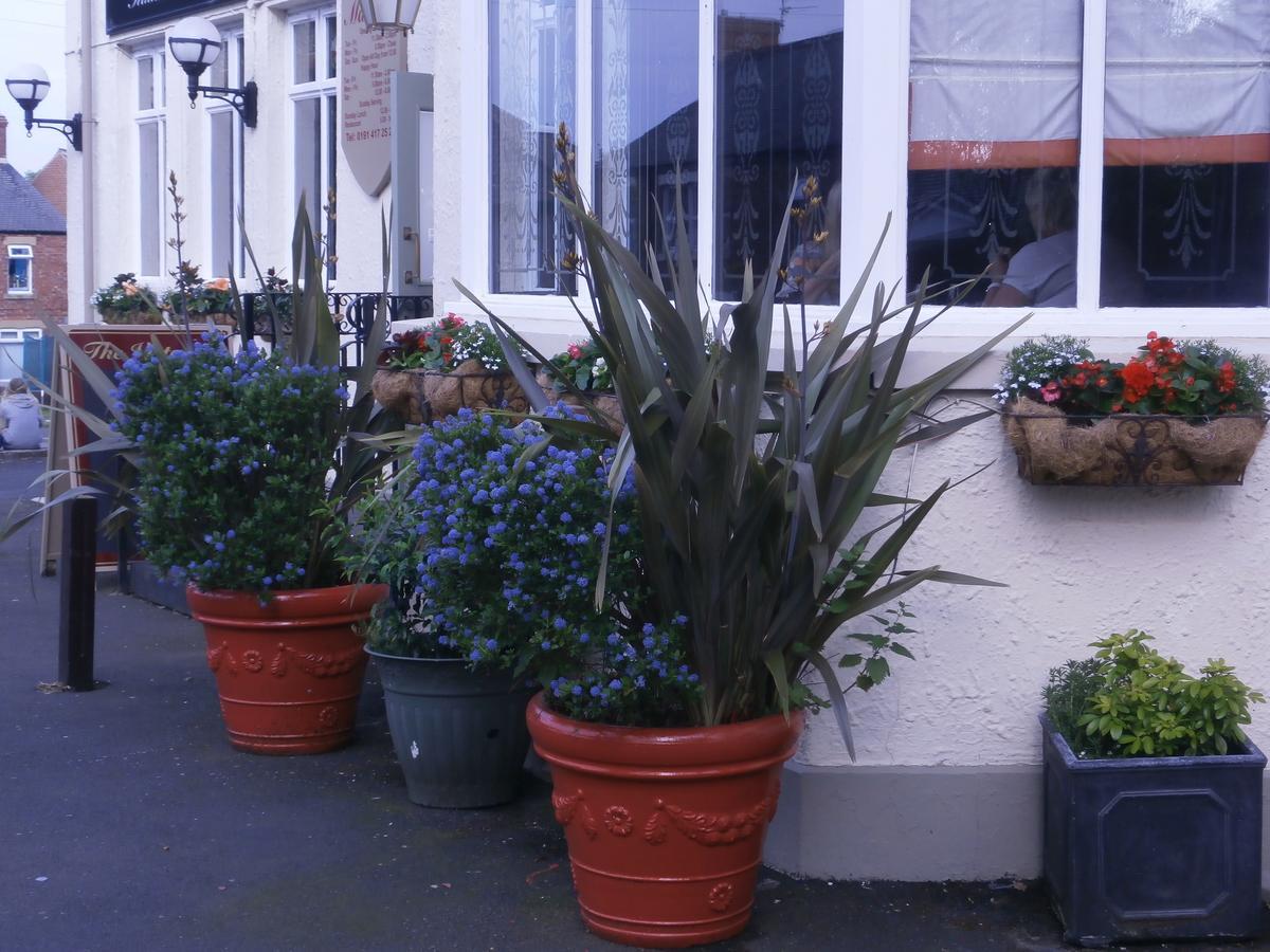 Victoria Inn Washington  Exterior foto